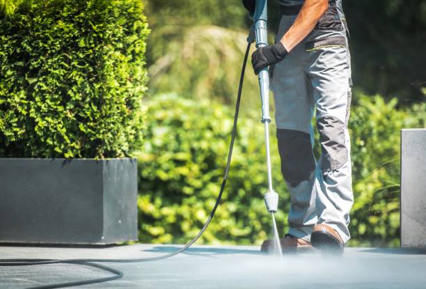 Best Spring Cleaning  in Lemont, IL