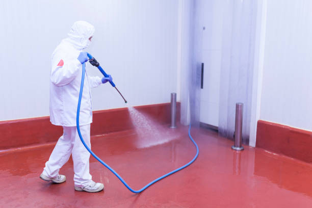 Pre-Holiday Cleaning in Lemont, IL