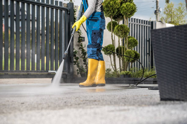 Best Restaurant Pressure Washing  in Lemont, IL